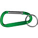 Schlüsselanhänger mit Karabinerhaken, grün