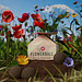 Seedbomb 2-er Set - Flower-Ball Bienenwiese, braun