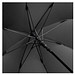 Automatik Stockschirm FARE® RingOpener®, schwarz