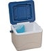 CrisMa Kühlbox mit Kühlakku ARIANNA, beige