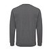 Iqoniq Zion Rundhals-Sweater aus recycelter Baumwolle, anthrazit
