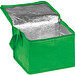 Non-Woven Kühltasche für 6 Dosen, grün