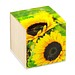 Pflanz-Holz, Standardmotiv, Sonnenblume