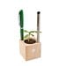 Pflanz-Holz Büro mit Samen, Ringelblume, 1-seit. Druck