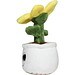 Schmoozies® Evergreenies® Sonnenblume, multicolour