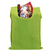 Werbe-Sparset: Einkaufstaschen, 80-tlg., inkl. Druck, hellgrün
