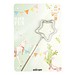 Wondercandle Mini mit Wondercard, Stern, gold, 1-seit. Druck