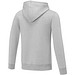 Charon Herren Kapuzenpullover, heather grau, L