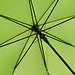 FARE® Stockschirm ÖkoBrella, hellgrün