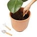 Garten-Set PLANT IT,braun