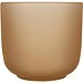 Male Set aus Holztablett und Glastassen, matt, oatmeal