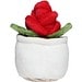 Schmoozies® Evergreenies® Rose, multicolour