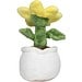 Schmoozies® Evergreenies® Sonnenblume, multicolour