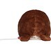 Schmoozies® Faultier, multicolour