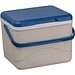 CrisMa Kühlbox mit Kühlakku ARIANNA, beige