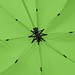 Gastschirm TWINNY, grün