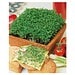 Natur-Konserve mit Samen, Gartenkresse, 1-seit. Druck